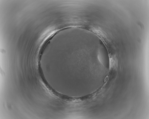 X0000091180243200708091227