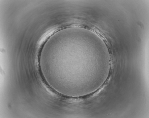 X0000091180245200708091227
