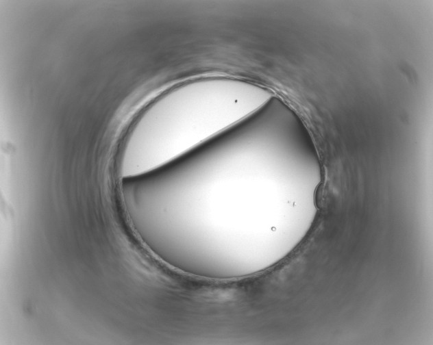 X0000091180247200708091227