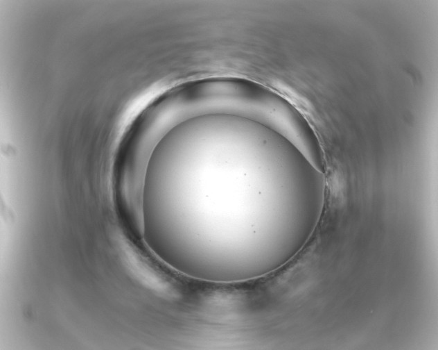 X0000091180248200708091227