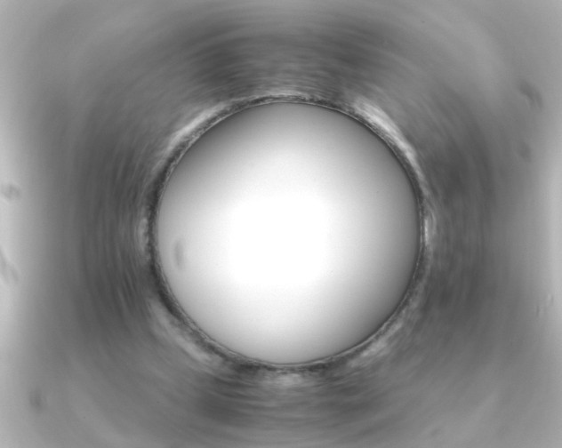 X0000091180249200708091227