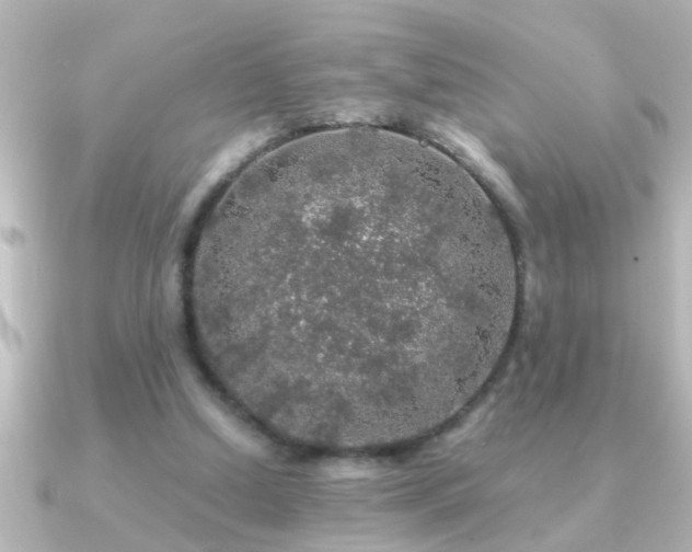 X0000091180250200708091227