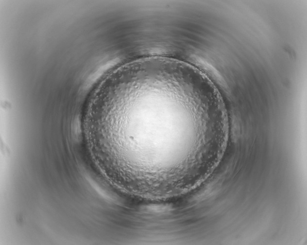 X0000091180251200708091227