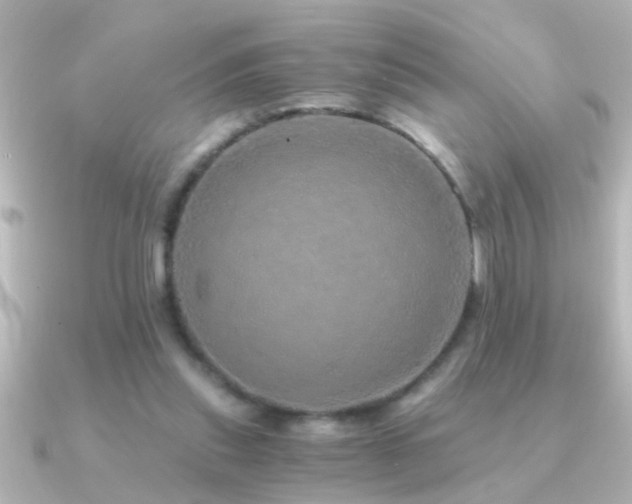 X0000091180253200708091227