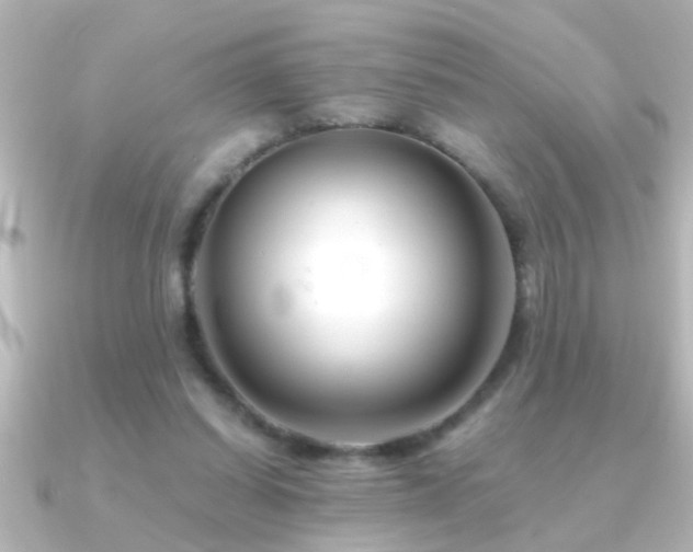 X0000091180254200708091227