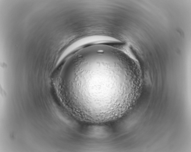 X0000091180255200708091227