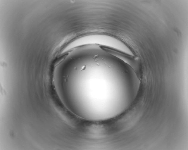 X0000091180256200708091227