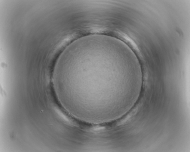 X0000091180257200708091227