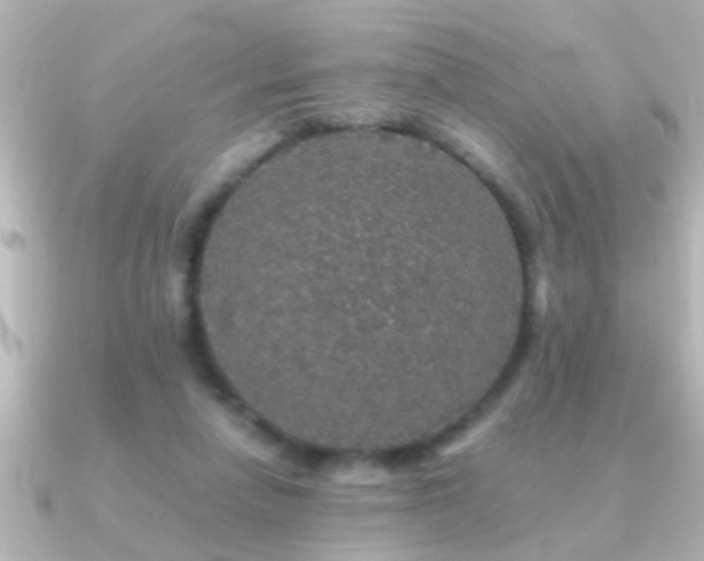 X0000091180258200708091227