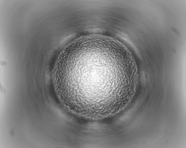 X0000091180259200708091227