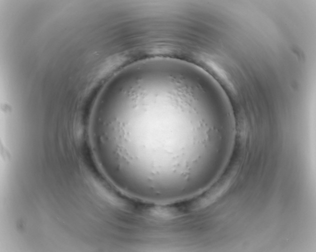 X0000091180261200708091227