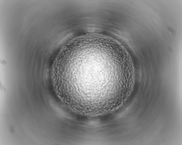 X0000091180263200708091227