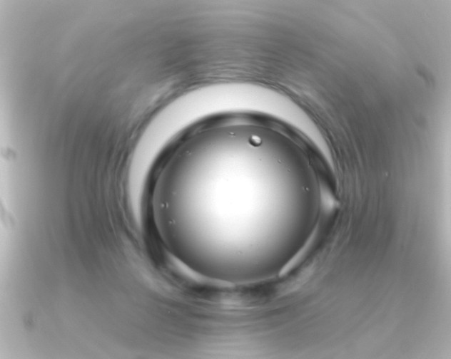 X0000091180264200708091227
