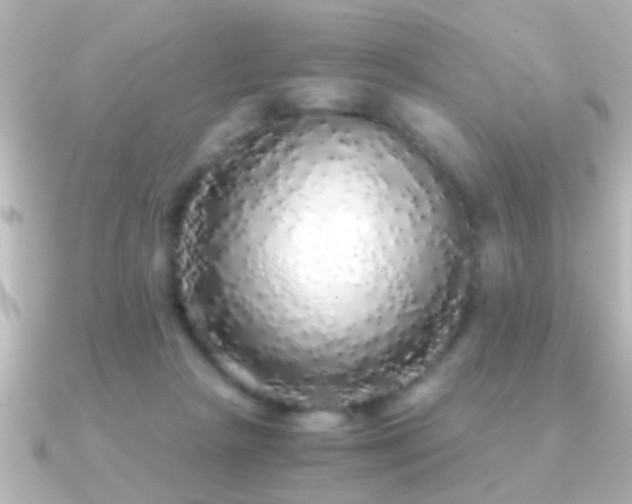 X0000091180265200708091227