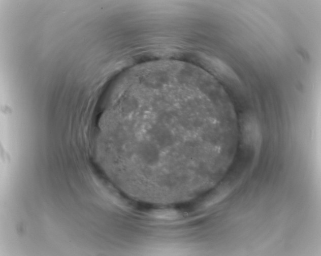 X0000091180266200708091227