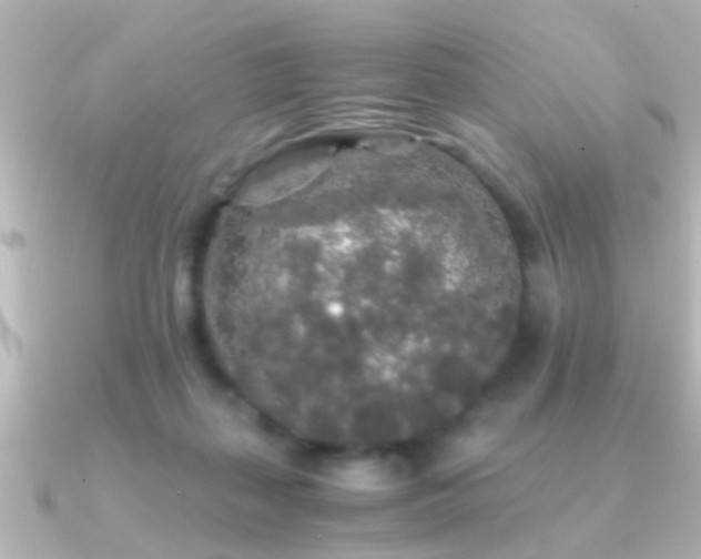 X0000091180267200708091227