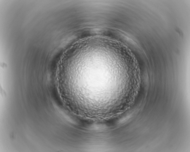 X0000091180270200708091227