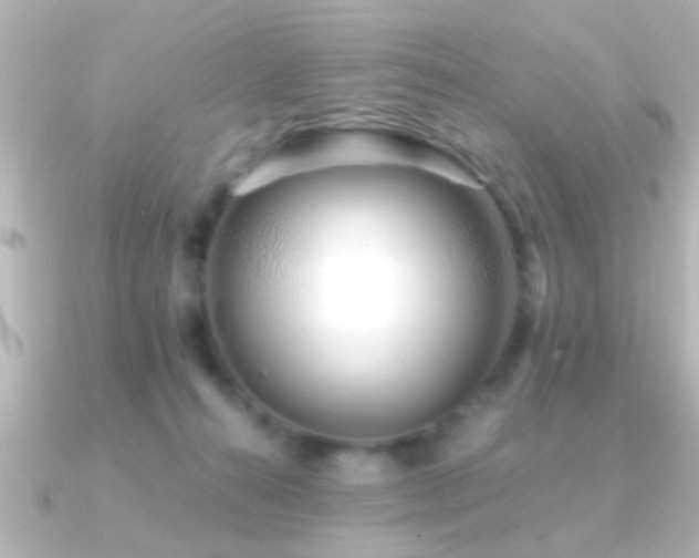 X0000091180272200708091227