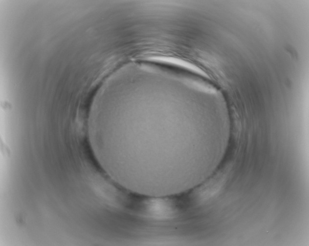 X0000091180273200708091227