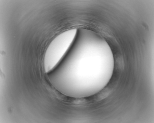 X0000091180274200708091227