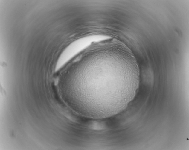 X0000091180275200708091227