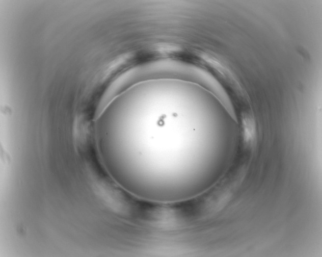 X0000091180276200708091227