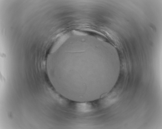 X0000091180281200708091227