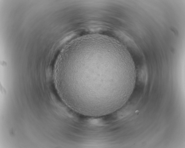 X0000091180283200708091227