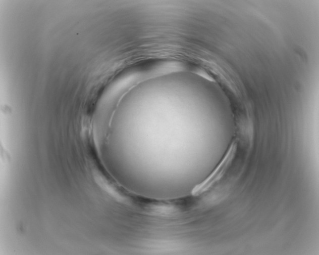 X0000091180284200708091227