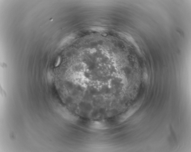 X0000091180285200708091227