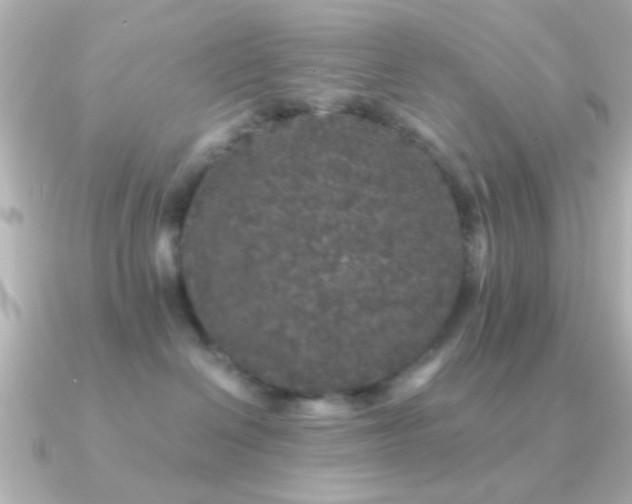 X0000091180286200708091227