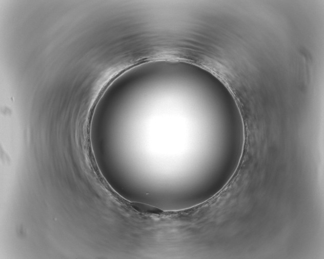 X0000091180289200708091227