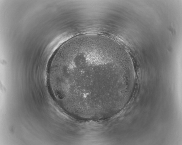 X0000091180290200708091227