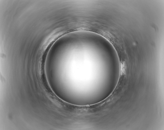 X0000091180291200708091227