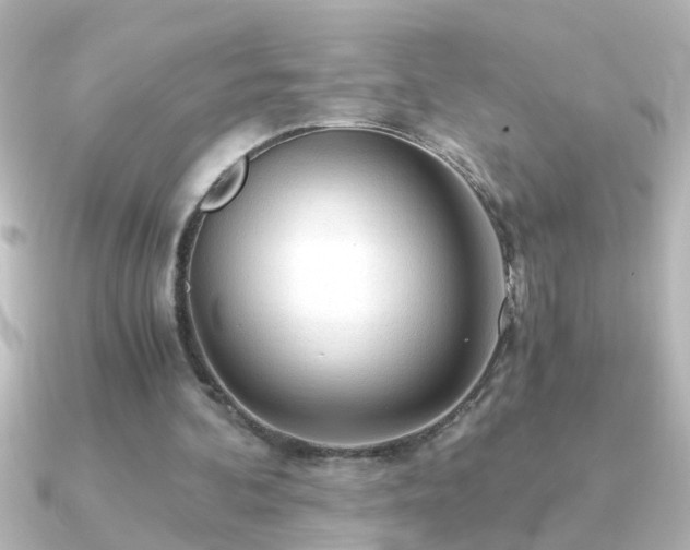 X0000091180292200708091227