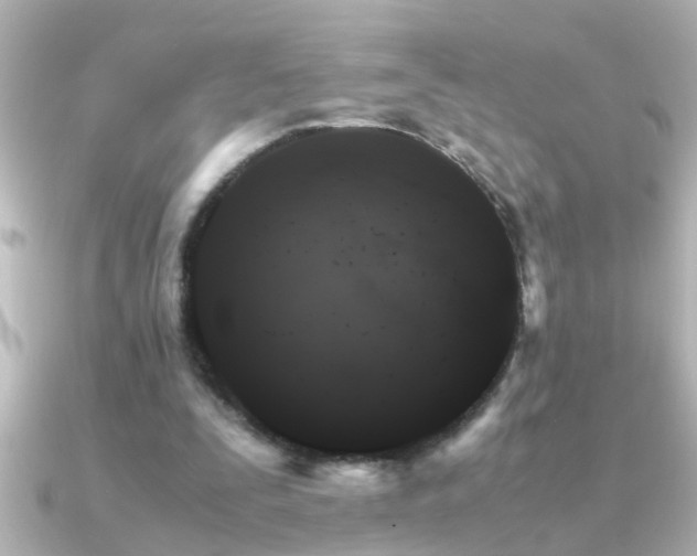 X0000091180295200708091227
