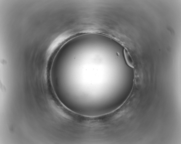 X0000091180296200708091227