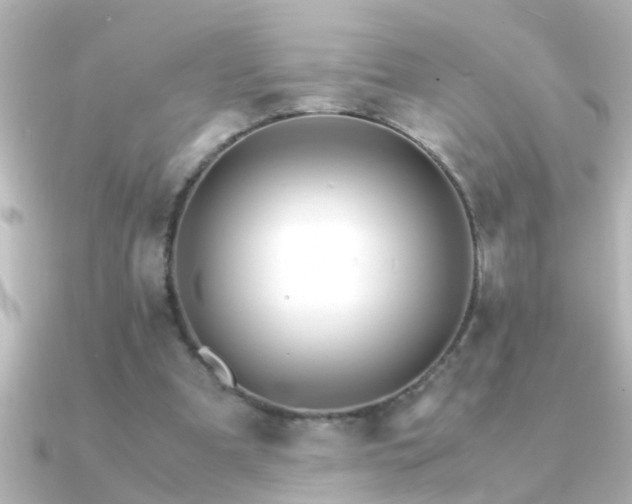 X0000091180297200708091227