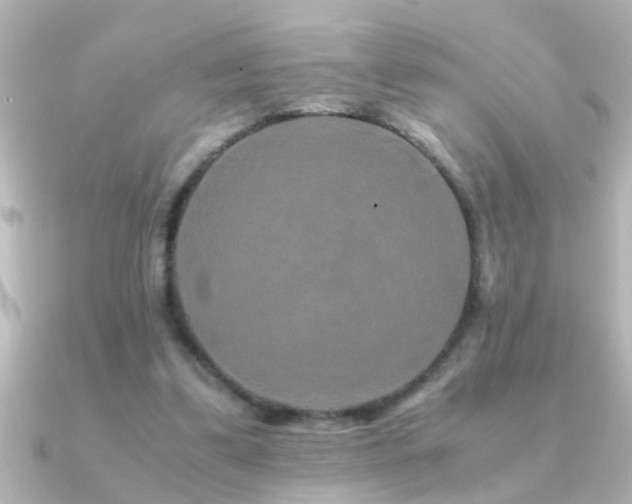 X0000091180299200708091227