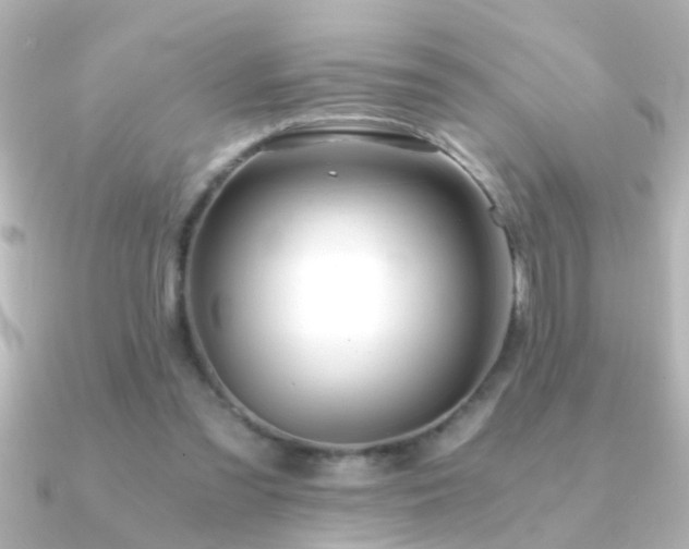X0000091180301200708091227