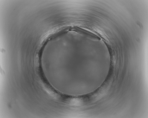 X0000091180303200708091227