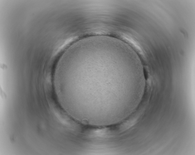 X0000091180306200708091227