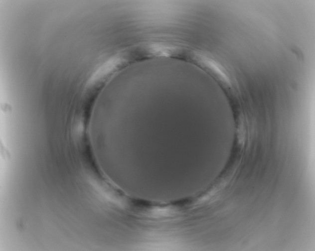 X0000091180314200708091227