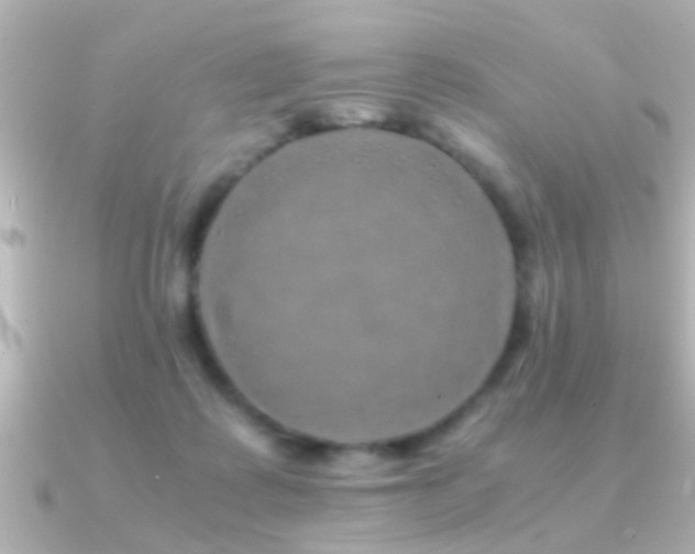 X0000091180315200708091227