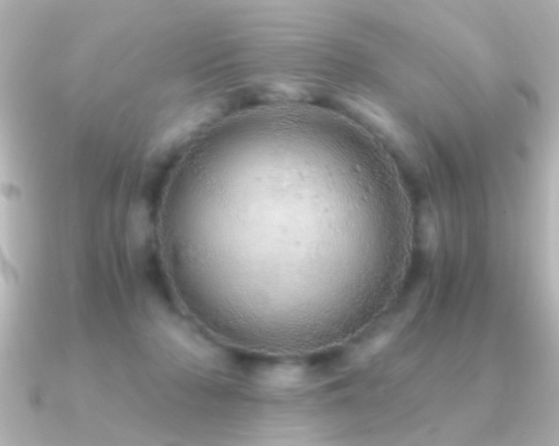 X0000091180318200708091226