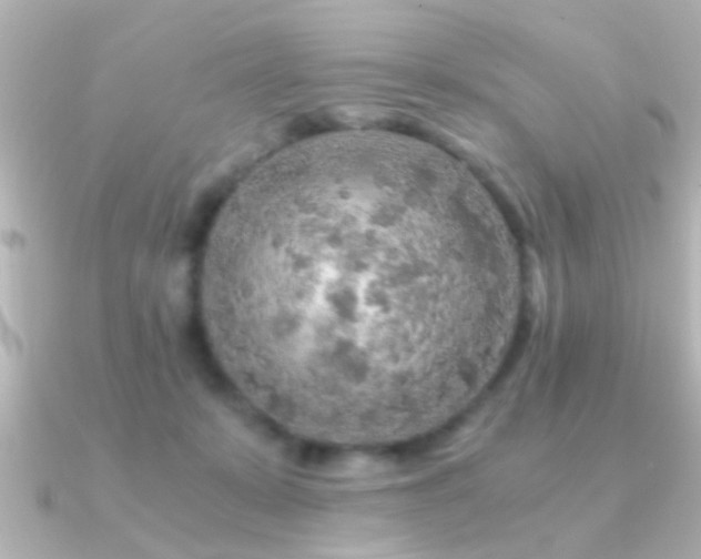 X0000091180319200708091226