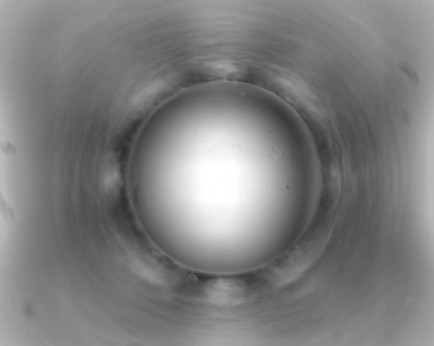 X0000091180320200708091226