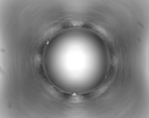 X0000091180321200708091226