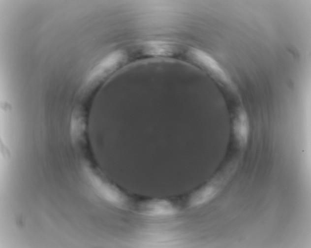 X0000091180322200708091226