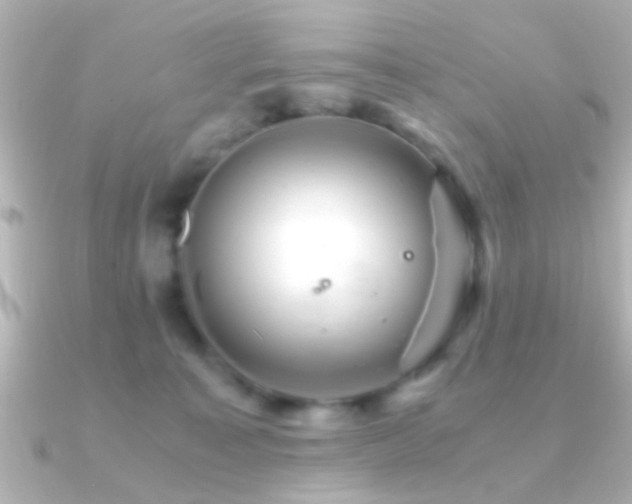 X0000091180323200708091226